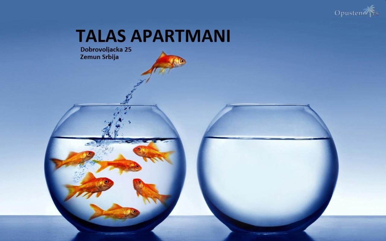 Talas Apartmani بلغراد المظهر الخارجي الصورة
